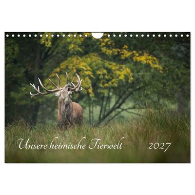 Unsere heimische Tierwelt (Wandkalender 2027 DIN A4 quer), CALVENDO Monatskalender