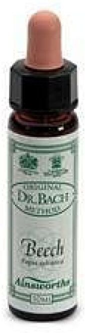 SANTIVERI Sa AINSWORTHS BEECH 10ML