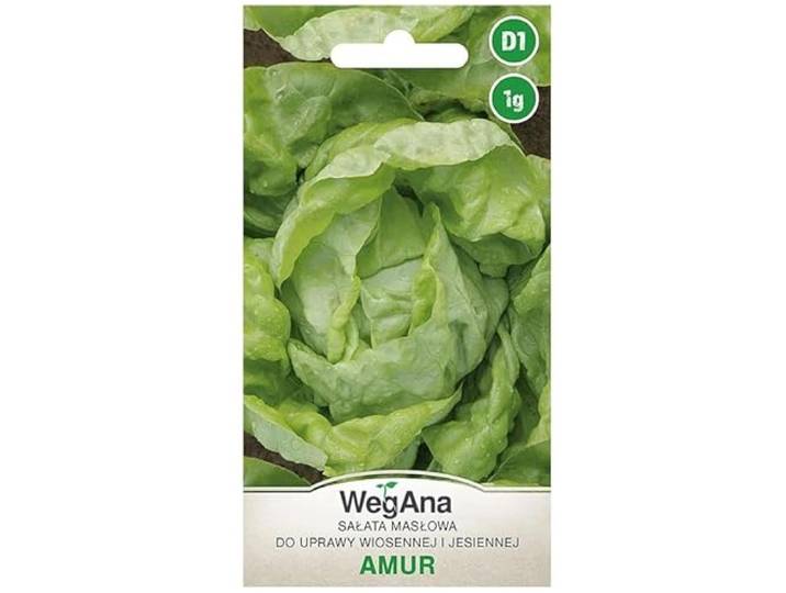 WegAna Botersla Armur Zaden 1g, Groene Slazaden, Robuuste Groentezaden, Groentezaden, Kaszaden, Kaszaden