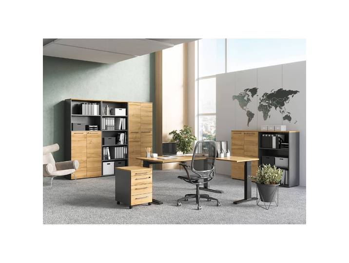Armoire de bureau GW-Agenda III 80 x 197 x 40cm Marron/Gris/Imitation chêne Grandson/Graphite