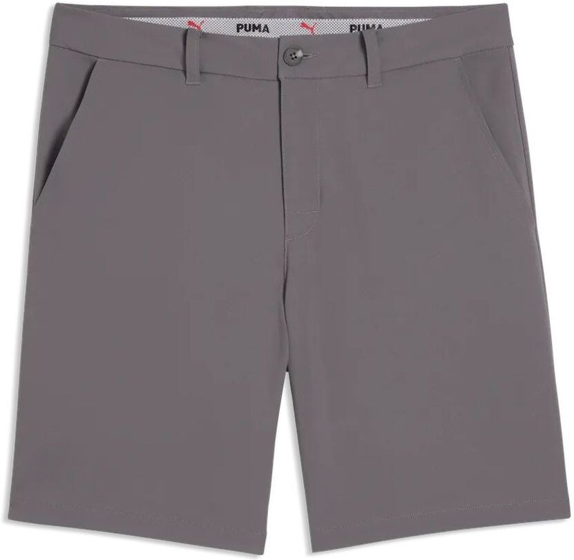 Puma Mens 101 Pure Short - Shady Gray, 28