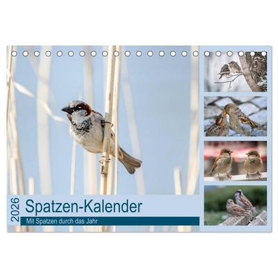 Spatzen-Kalender (Tischkalender 2026 DIN A5 quer), CALVENDO Monatskalender