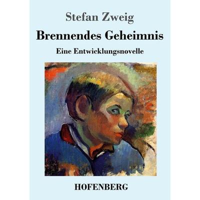 Brennendes Geheimnis, Taschenbuch von Stefan Zweig, Henricus - Edition Deutsche Klassik GmbH, Berlin, 978-3-7437-4444-8