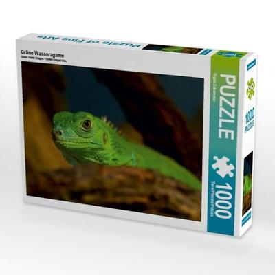 CALVENDO Puzzle Grüne Wasseragame | 1000 Teile Lege-Größe 64x48cm Foto-Puzzle für glückliche Stunden