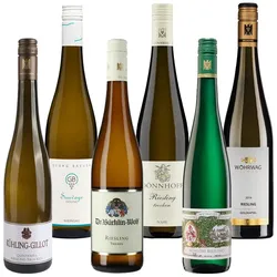 6er Probierpaket "Riesling von Deutschlands Spitzenweingütern"