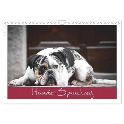 Hunde-Spruchreif (Wandkalender 2027 DIN A4 quer), CALVENDO Monatskalender