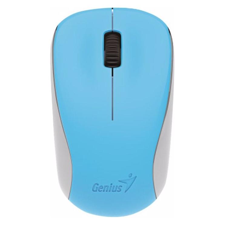 Genius G100 (Kabellos) (31030109109)
