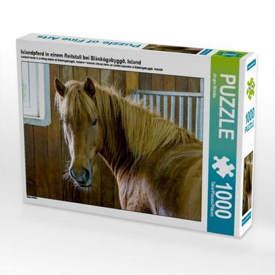 CALVENDO Puzzle Islandpferd in einem Reitstall bei Bláskógabyggð, Island | 1000 Teile Lege-Größe 64x48cm Foto-Puzzle für glückliche Stunden