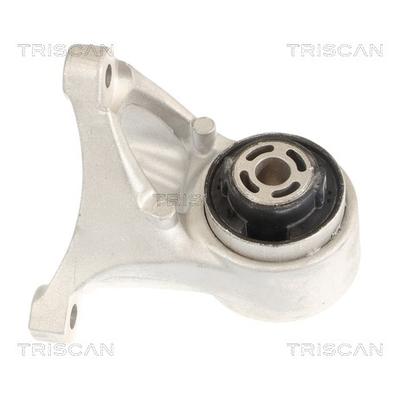 TRISCAN Lagerung, Motor 850581102 für Tesla