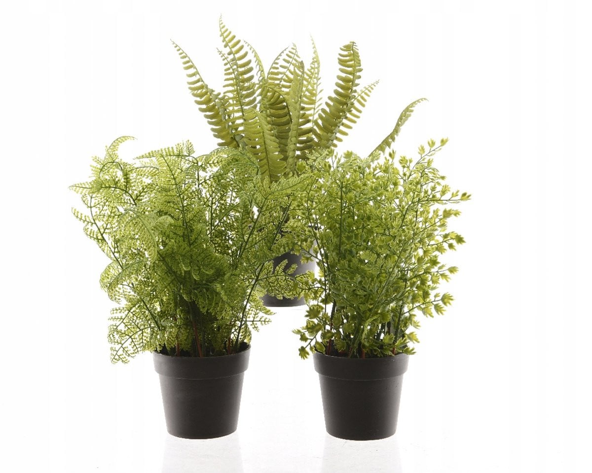 Kaemingk Synthetische Varen Groene Kunstplant 30 cm