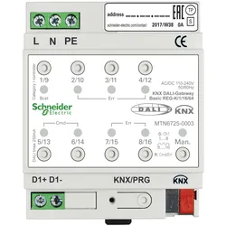 Schneider Electric KNX DALI-Gateway Basic REG-K/1/16/64 1Kanal MTN6725-0003
