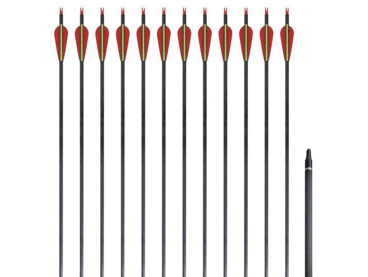 vidaXL Recurvebogen-Pfeile 30 0,76 cm Carbon 12 Stk.