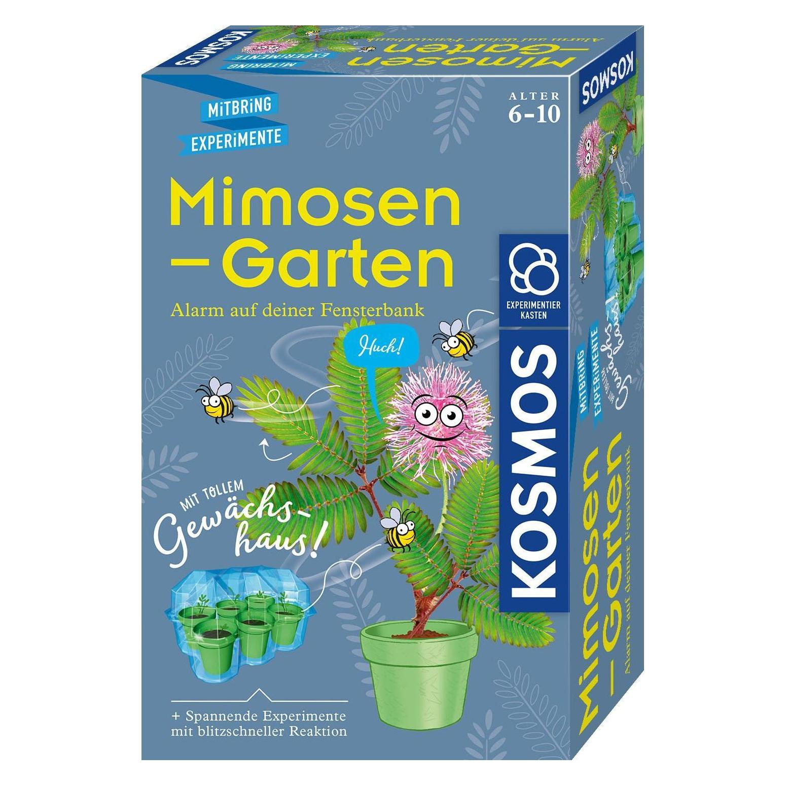 Kosmos Mimosen-Garten (657802)