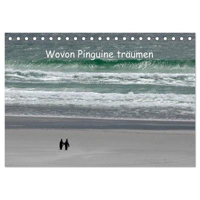 Wovon Pinguine träumen (Tischkalender 2027 DIN A5 quer), CALVENDO Monatskalender