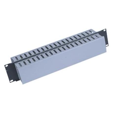 Triton 19" panel 2U with 2x cable trunking (RAB-VP-X05-A1)