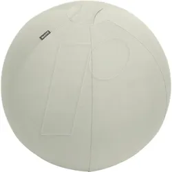 LEITZ 65410085 - Leitz Ergo Cosy Active Sitzball, Anti-Wegroll, 55 cm, grau