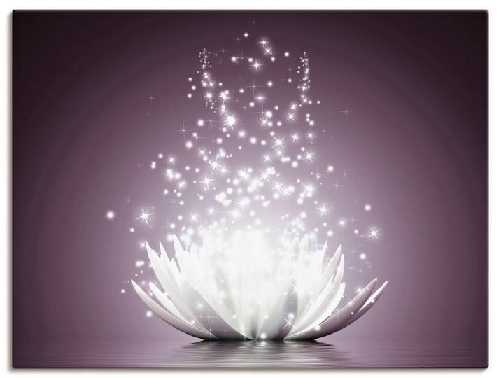 Wandbild ARTLAND Magie der Lotus-Blume , lila (farbe bild(er): lila), B:40cm H:30cm, Bilder, Wandbild, als Leinwandbild, Poster in verschied. Grössen