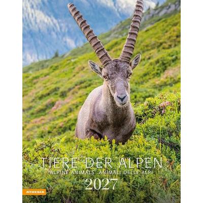 Tiere der Alpen - Kalender 2027
