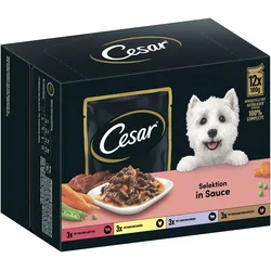 Cesar Multipack in Sauce mit Fleisch & Gemüse 1x1.2 kg