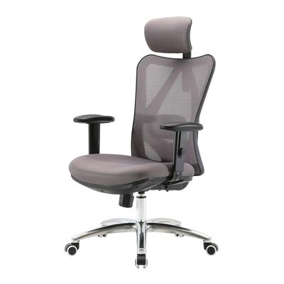 SIHOO Bürostuhl Schreibtischstuhl, ergonomisch, verstellbare Lordosenstütze, 150kg belastbar ~ ohne Fußstütze, grau