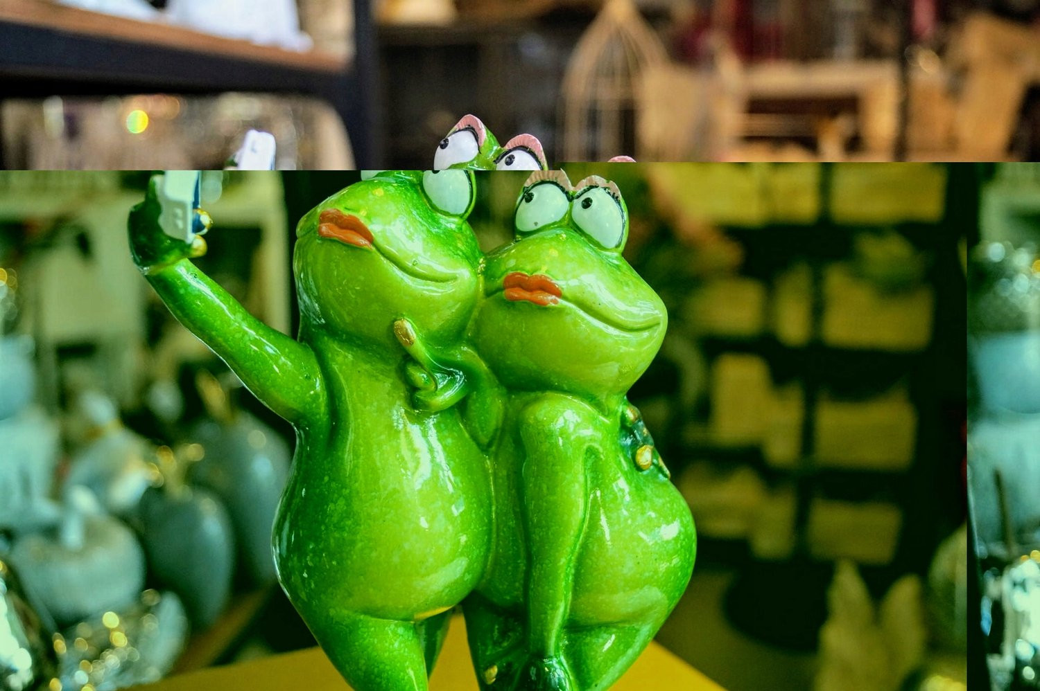 Grappige Kikker Selfie Figuur voor Volwassenen