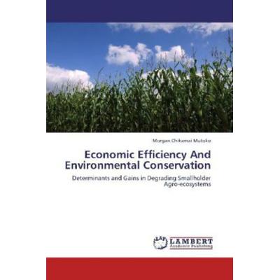 Mutoko, M: Economic Efficiency And Environmental Conservatio, Taschenbuch von Morgan Chikamai Mutoko, LAP LAMBERT Academic Publishing,