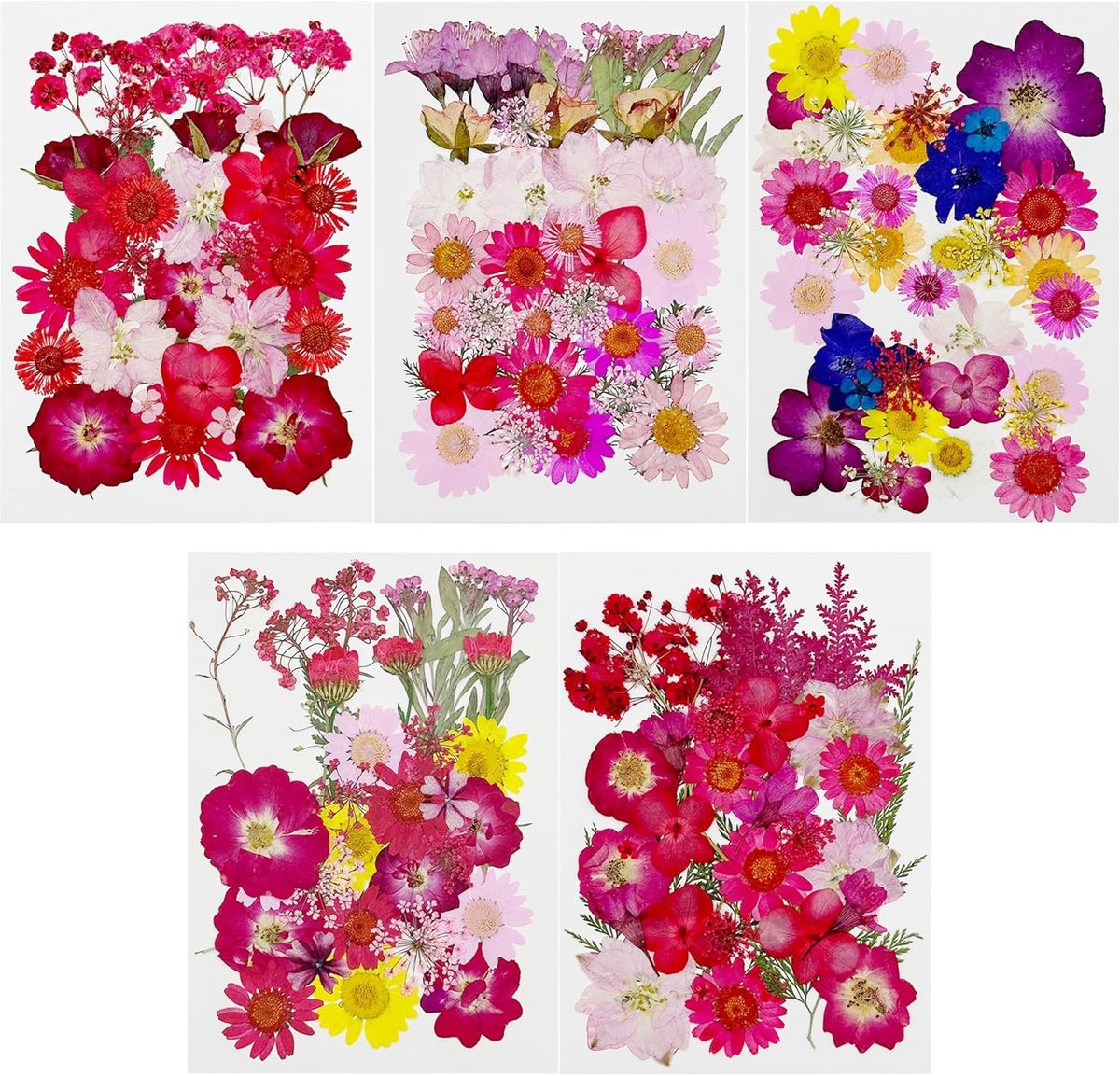 170x Gedroogde Persbloemen voor Hars, Sieraden en Scrapbooking