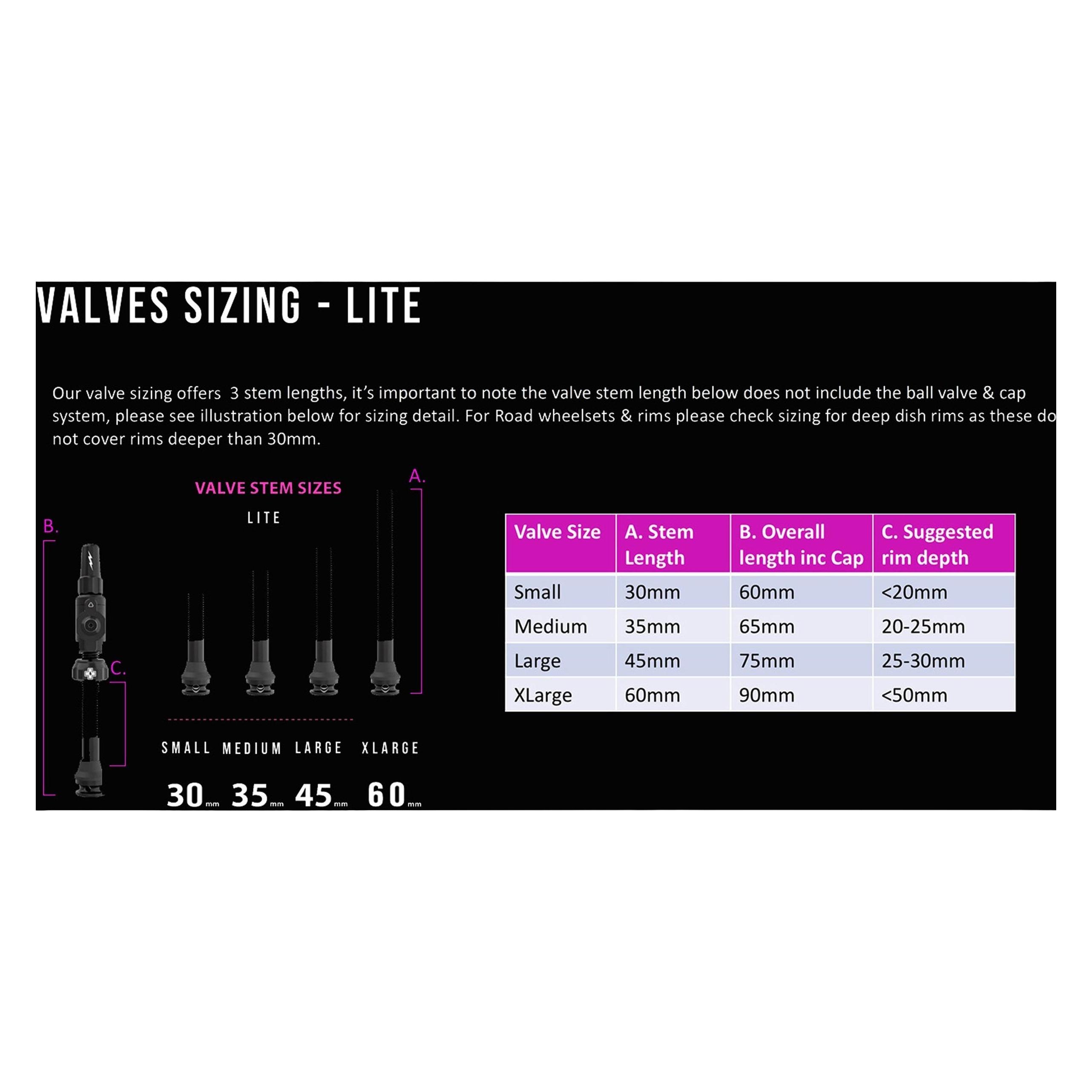 Muc-Off Tubeless Valves Big Bore Lite 60mm (21178)