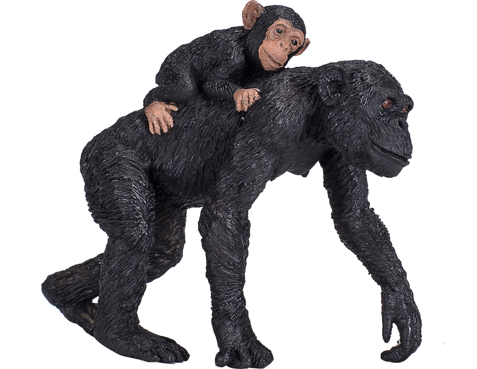 Animal Planet: Chimpansees en baby's small foot
