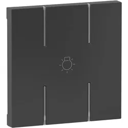 Legrand 765916 Seano 2-modulige Tastenabdeckung MyHome mit Symbol ”Licht”, Farbe Anthrazit