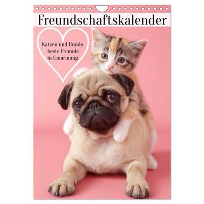 Freundschaftskalender - Katzen und Hunde, beste Freunde in Umarmung (Wandkalender 2027 DIN A4 hoch), CALVENDO Monatskalender