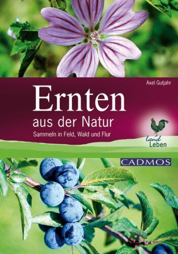 Axel Gutjahr - Ernten aus der Natur: Sammeln in Feld, Wald und Flur - Preis vom 09.10.2026 07:28:09 h