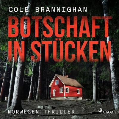 Botschaft in Stücken: Norwegen-Thriller - Cole Branninghan, Audio, 9788726942842