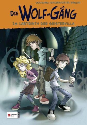 Wolfgang Hohlbein - HIT: Die Wolf-Gäng: Im Labyrinth der Geistervilla - Preis vom 16.10.2026 11:41:07 h