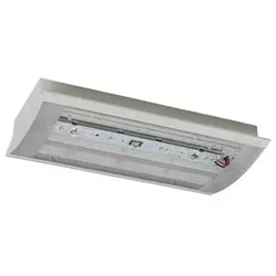 Ceag Notlichtsysteme LED-Rettungszeichenleuchte StyleII 22011LEDCG-S 40071356811