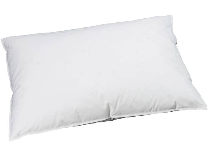 BILLERBECK EDITIONNaturkissen REVE DOWN BASIC 50x70cm