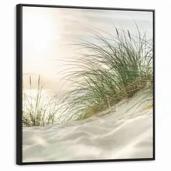 LEINWAND Bilder mit Rahmen - Dünen mit Strandhafer in der Sonne des Nationalparks Schleswig-Holsteinisches Wattenmeer - 90x90