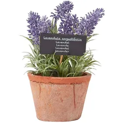 KUNSTPFLANZE Lavendel im Terrakotta-Topf, 20 cm
