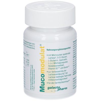 Mucomodulat Pulver 60 g