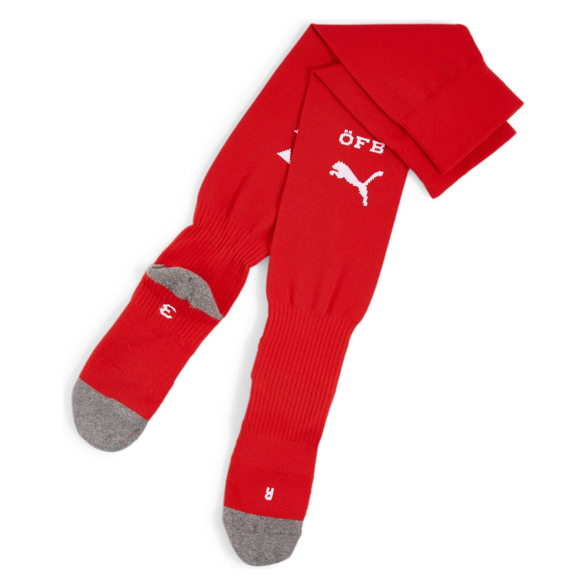 Puma Team ÖFB Stacked Logo Socks Replica (M) (774169_06)