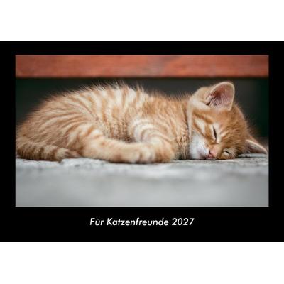 Für Katzenfreunde 2027 Fotokalender DIN A3