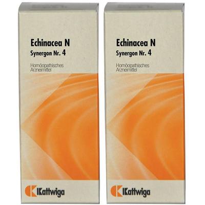 Synergon Komplex 4 Echinacea N Tropfen 2x 2x50 ml