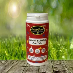 FANGGOLD Gelenk & Arthro pro Tabs 500 g (ca. 250 Stück)
