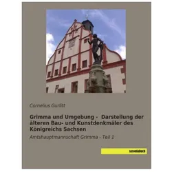 Grimma und Umgebung - Darstellung der älteren Bau- und Kunstdenkmäler des Königreichs Sachsen, Fachbücher von Cornelius Gurlitt