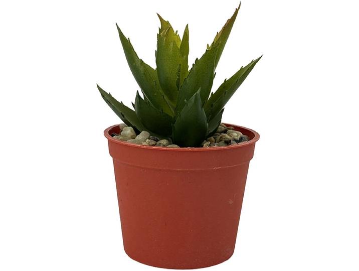 Künstliche Pflanze LOLA