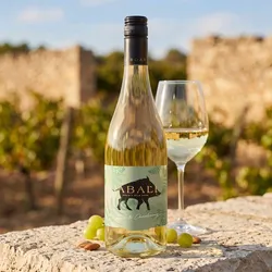Virgen del Aguila Agoston Viura & Chardonnay 2025 - Weißwein halbtrocken - Carinena, Spanien