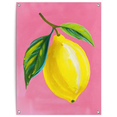 Poster REINDERS "Lemon on Pink", gelb (farbe bild(er): gelb), B:60cm H:80cm T:0,1cm, Bilder, Poster, Garten - Zitrone - Gelb - Leinwand - Essen und Trinken - 60x80 cm