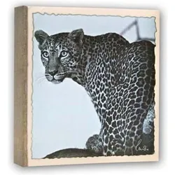 ZEP, Fotoalbum, WL57100 Album Slip-in 100 photos 13x19 cm - 12 Alben