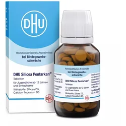 DHU Silicea Pentarkan  Tabletten 80 St