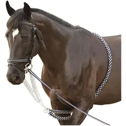 Canter, Zaumzeug